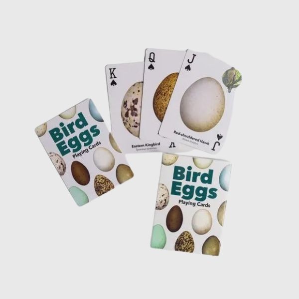 Bird Eggs Playing Cards