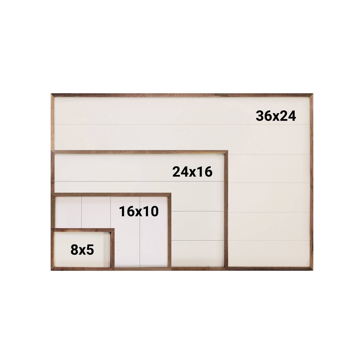 Fall Field With Mums And Daisies