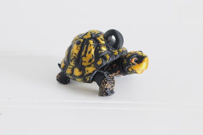 Box Turtle Keychain