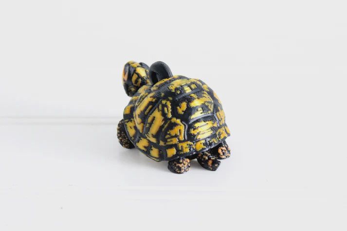 Box Turtle Keychain