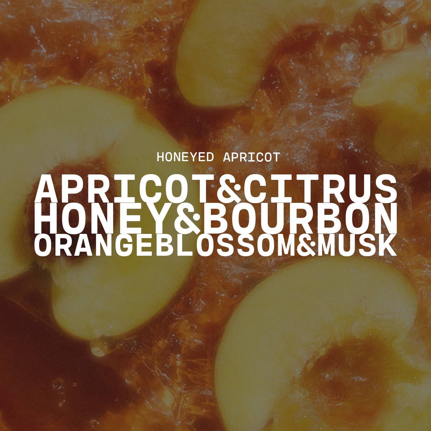 5 oz Cream Jar Candle: Honeyed Apricot