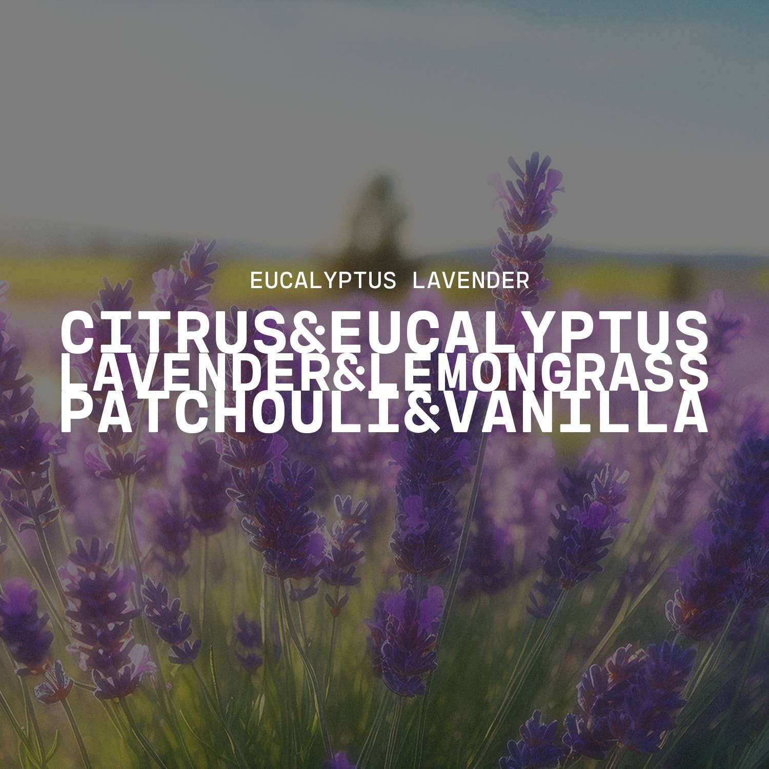 22 oz Butter Jar Candle: Eucalyptus Lavender