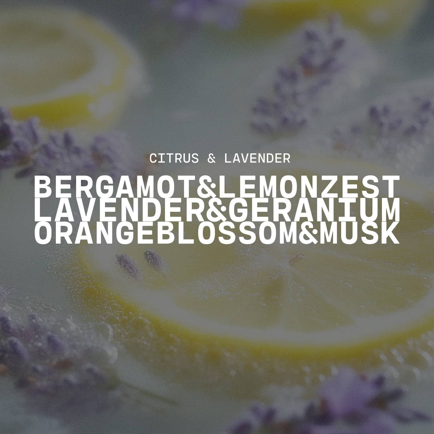 5 oz Cream Jar Candle: Citrus &amp; Lavender