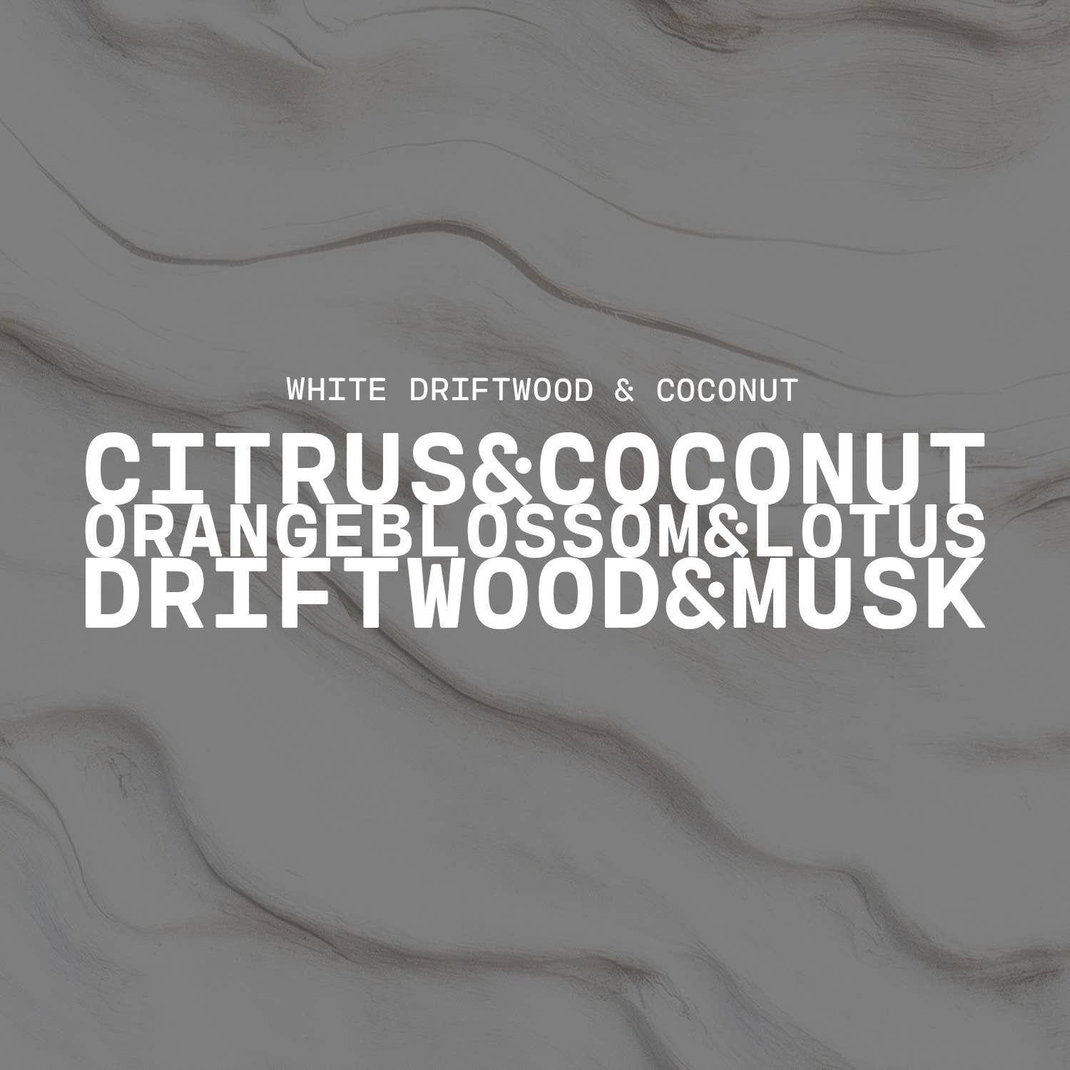 16 oz Butter Jar Candle: White Driftwood &amp; Coconut