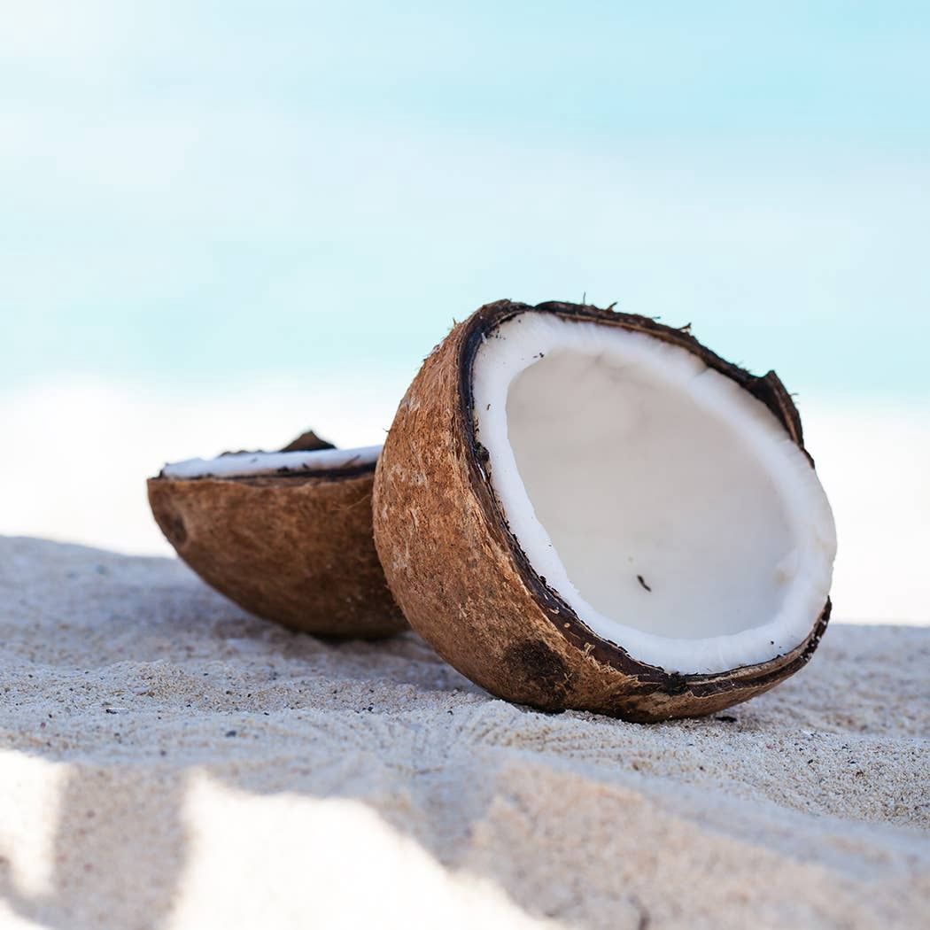 16 oz Butter Jar Candle: White Driftwood &amp; Coconut