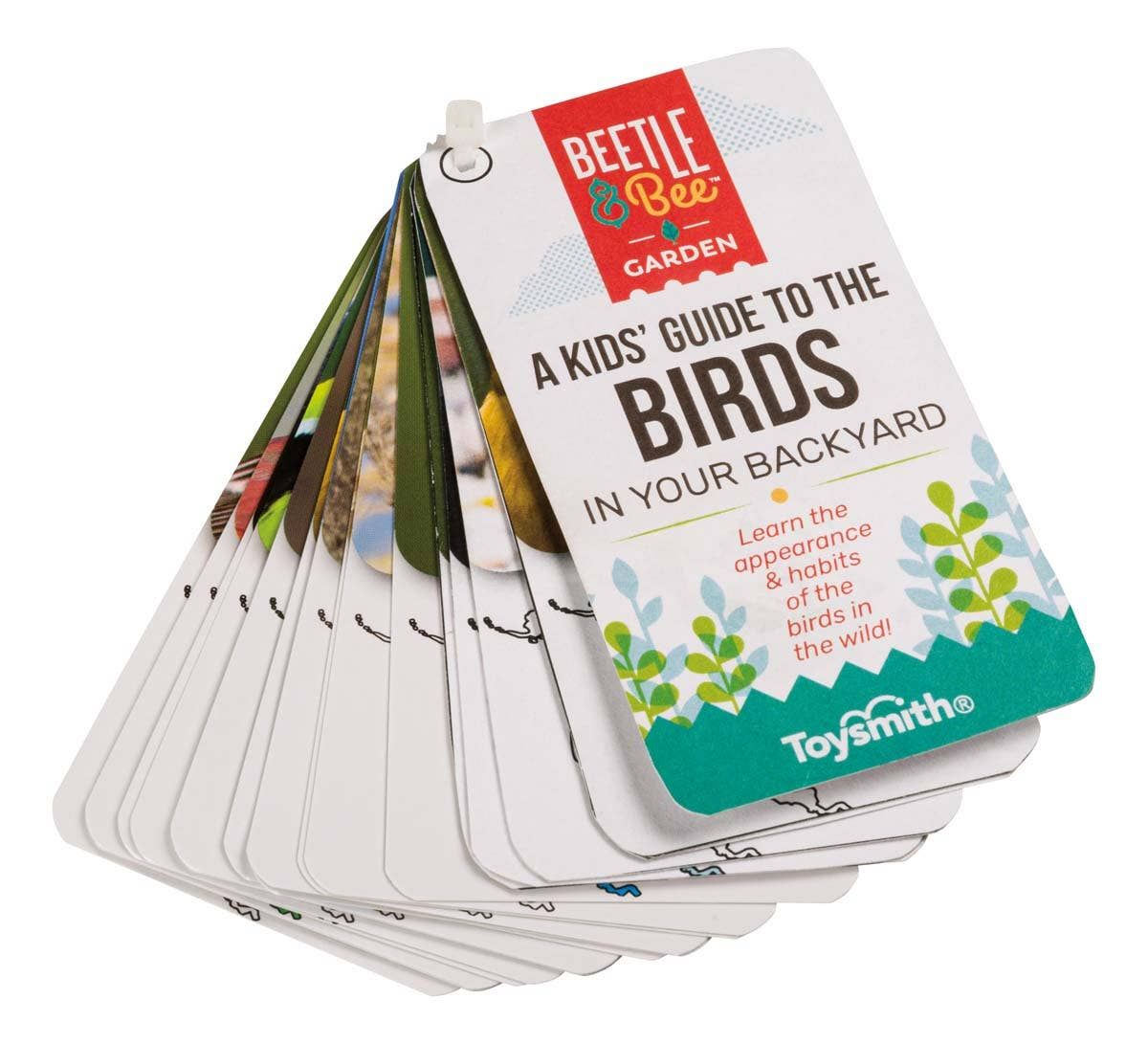 Beetle &amp; Bee Little Birder Set - Bird Watching for Kids