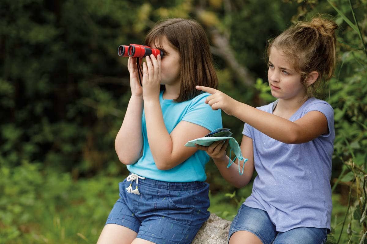Beetle &amp; Bee Little Birder Set - Bird Watching for Kids