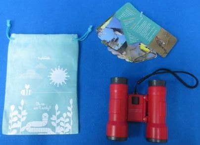 Beetle &amp; Bee Little Birder Set - Bird Watching for Kids