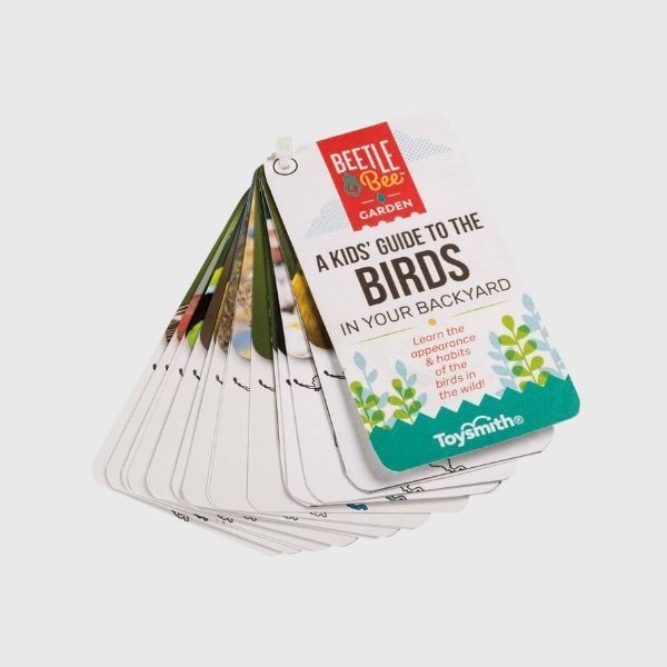 Beetle &amp; Bee Little Birder Set - Bird Watching for Kids