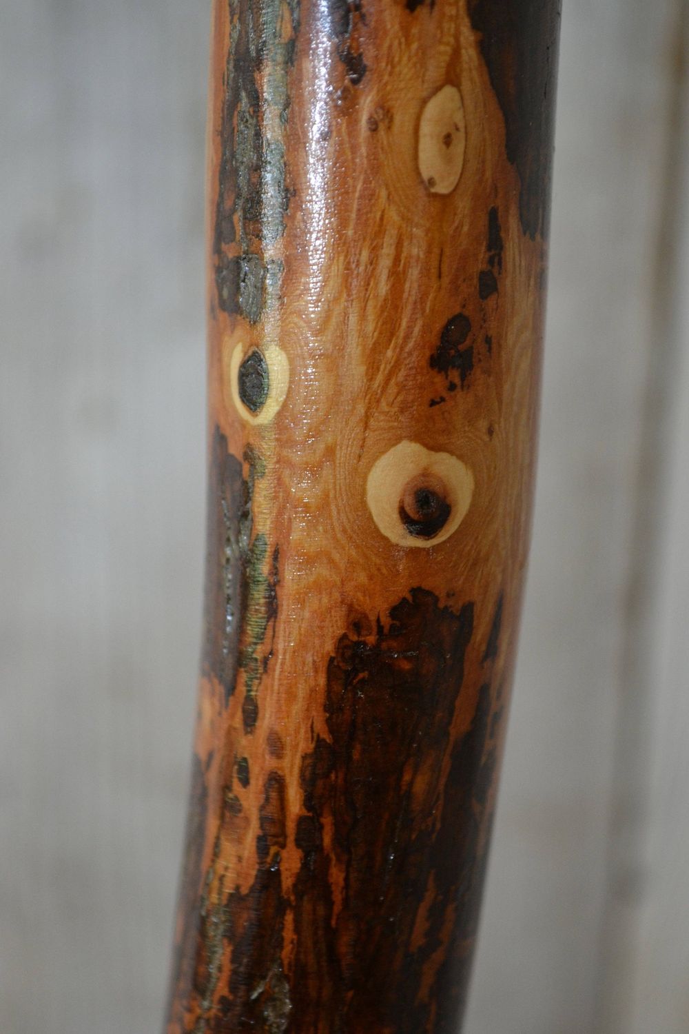 Walking Stick 54"