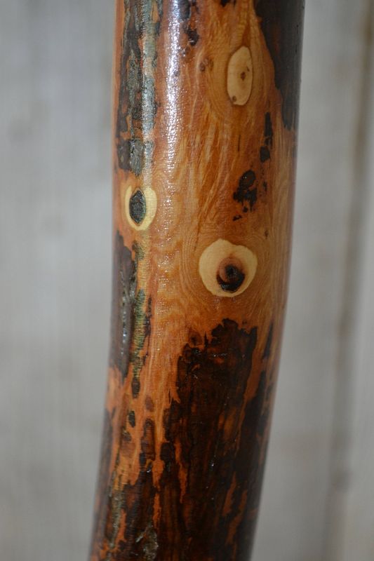 Walking Stick 54"