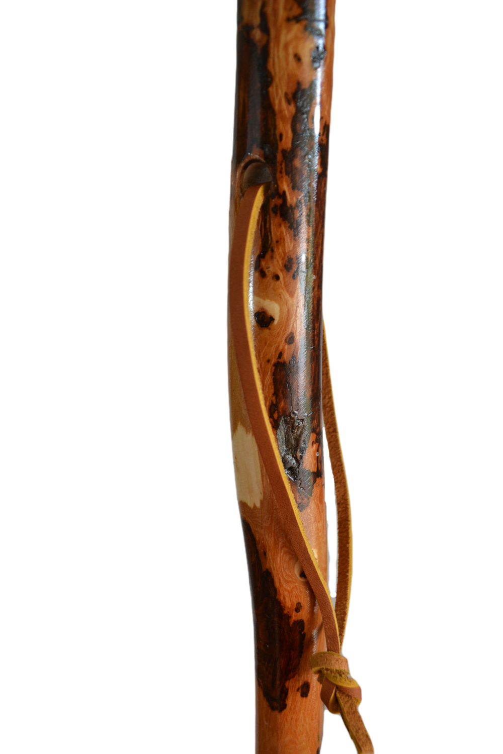 Walking Stick 54"