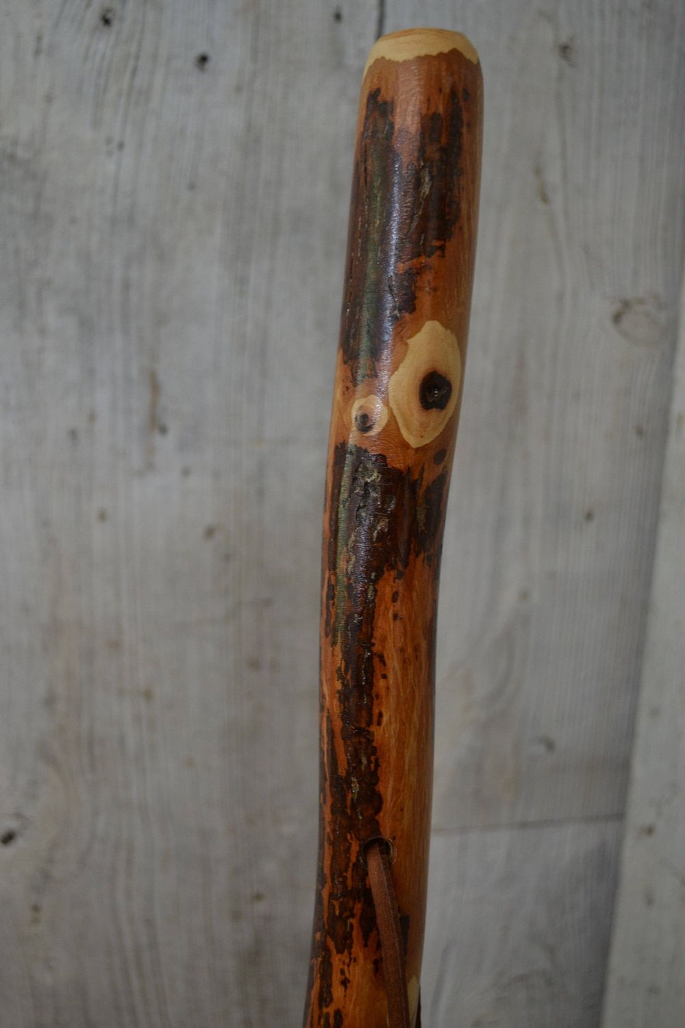 Walking Stick 54"