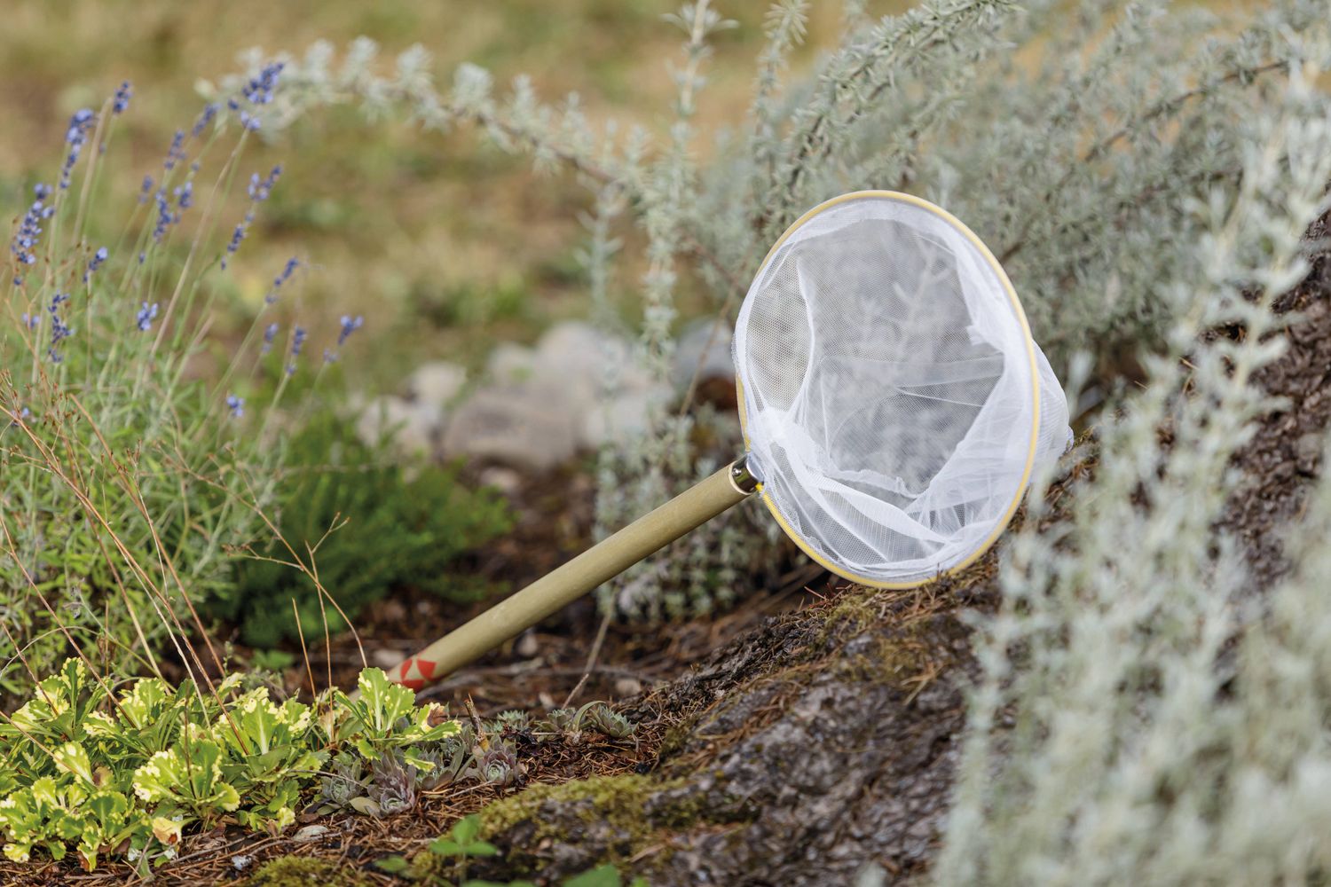 Beetle &amp; Bee Butterfly Net -  Certified - Outdoor Play