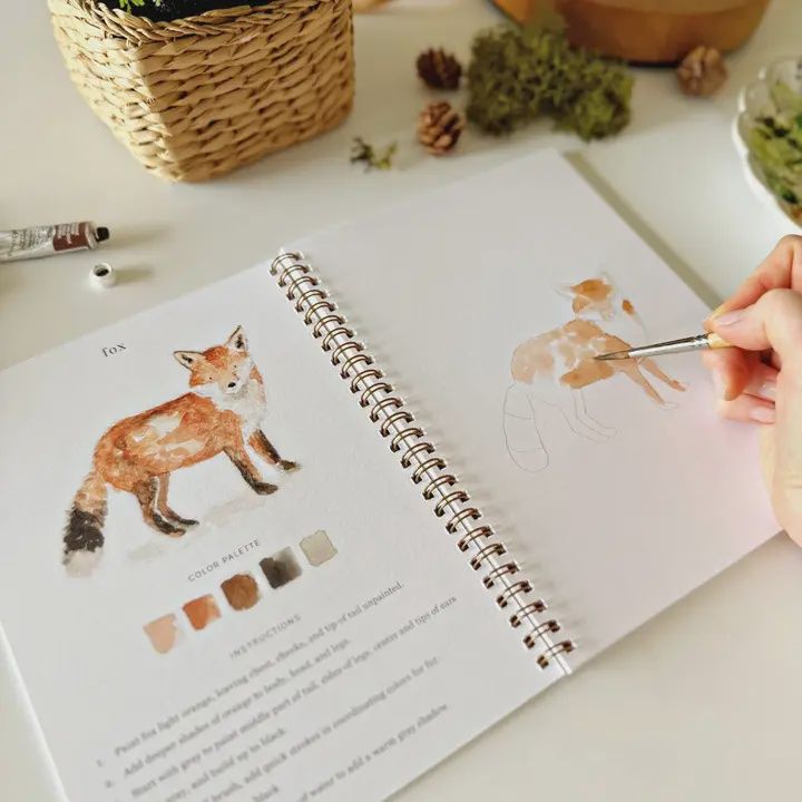Watercolor Workbook
