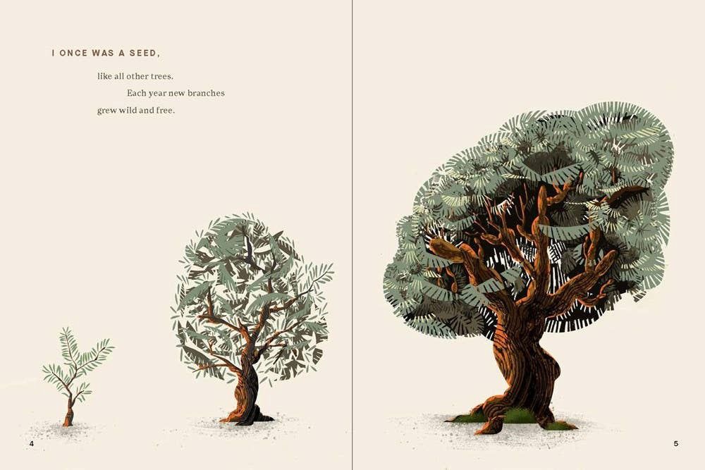 If the Tree Could Speak : The Story of the Cross That Saw It