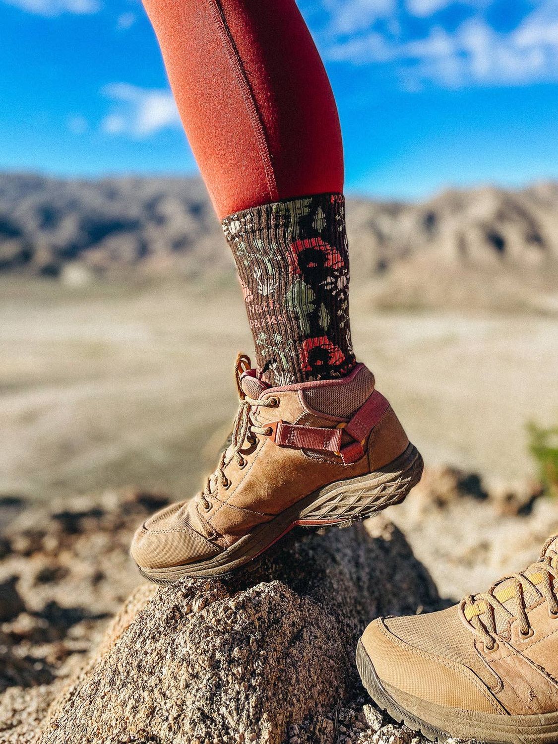 National Park Roundup Sock