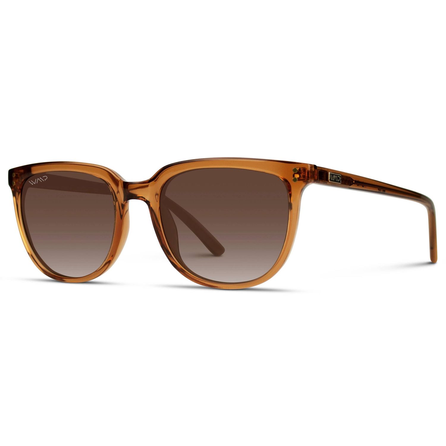 Abner - Unisex Polarized Square Sunglasses, Color: Crystal Brown / Brown Gradient Lens