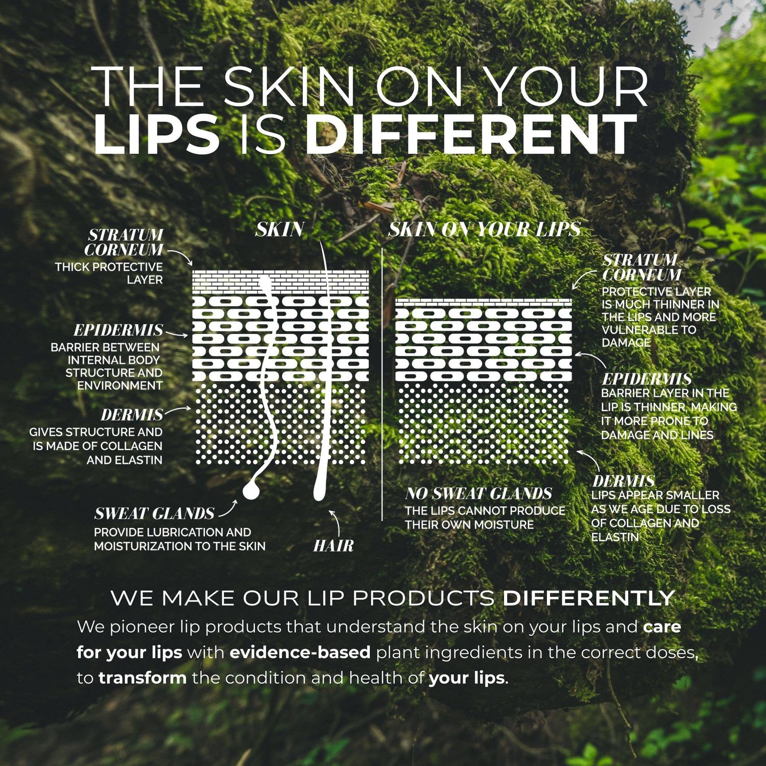 Lip Colour Serum