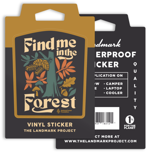 Find me in the Forest Sticker