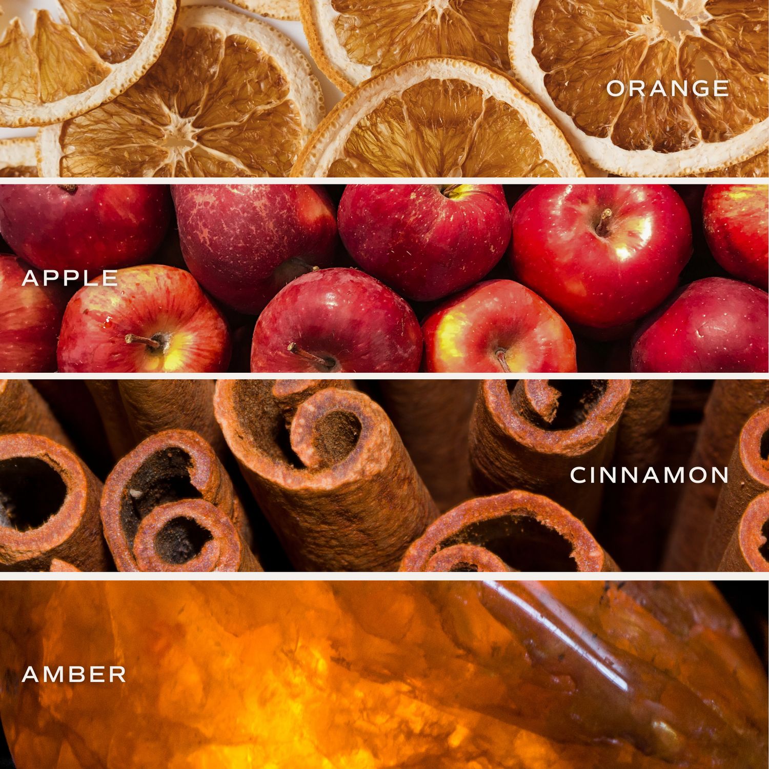 Mulled Cider 9 oz Soy Candle