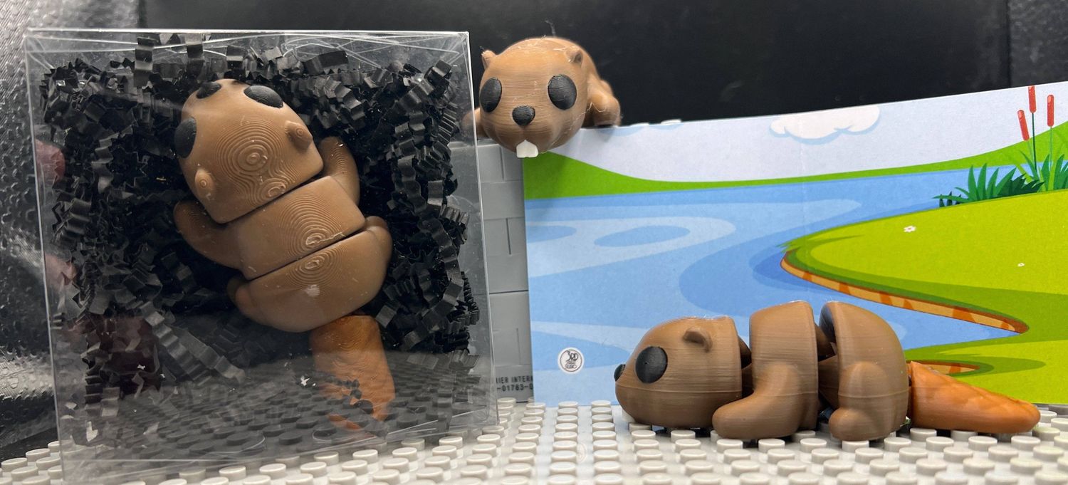 Beaver Fidget Friend