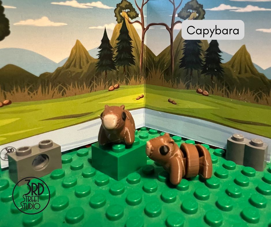 Capybara Fidget Friend