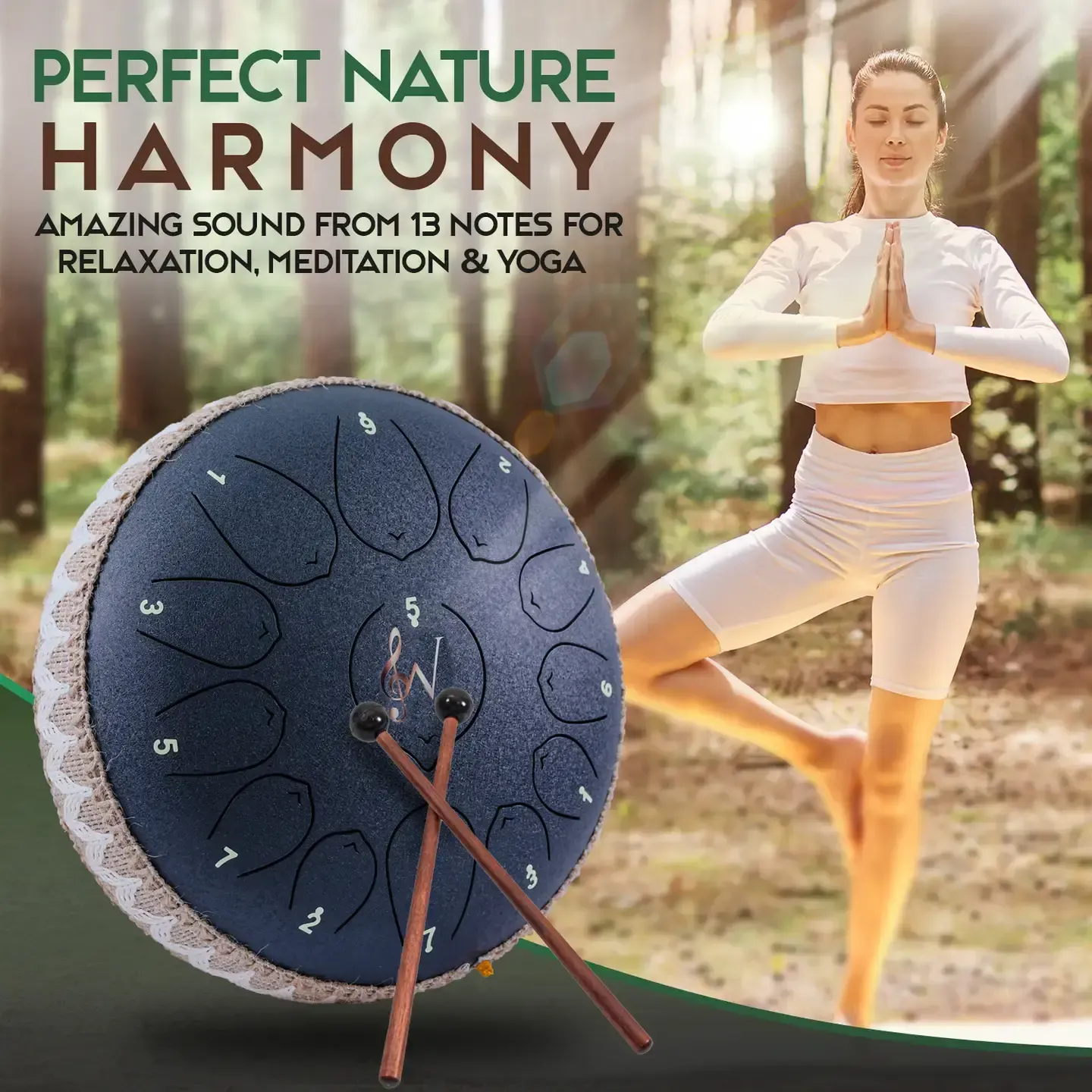 12-Inch Steel Tongue Drum - 13 Notes - Rain Drum - Metal