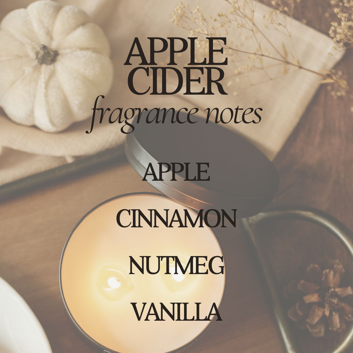 Apple Cider 12 oz Soy Candle