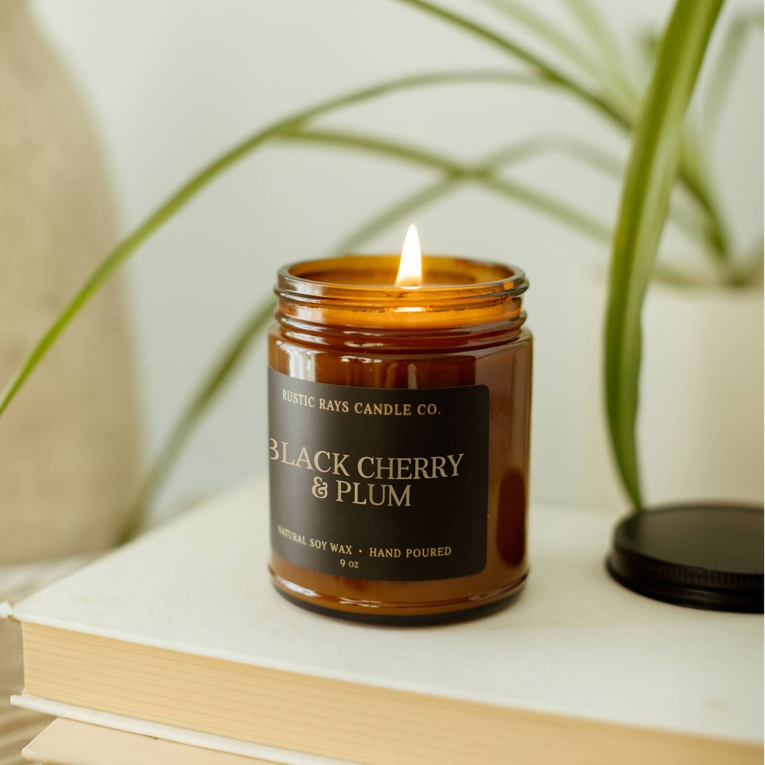 Black Cherry &amp; Plum 9 oz Soy Candle