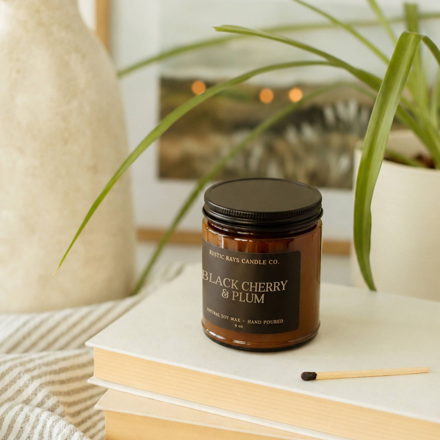 Black Cherry &amp; Plum 9 oz Soy Candle