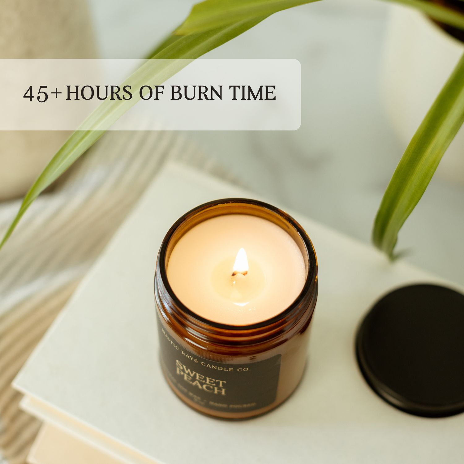 Black Cherry &amp; Plum 9 oz Soy Candle