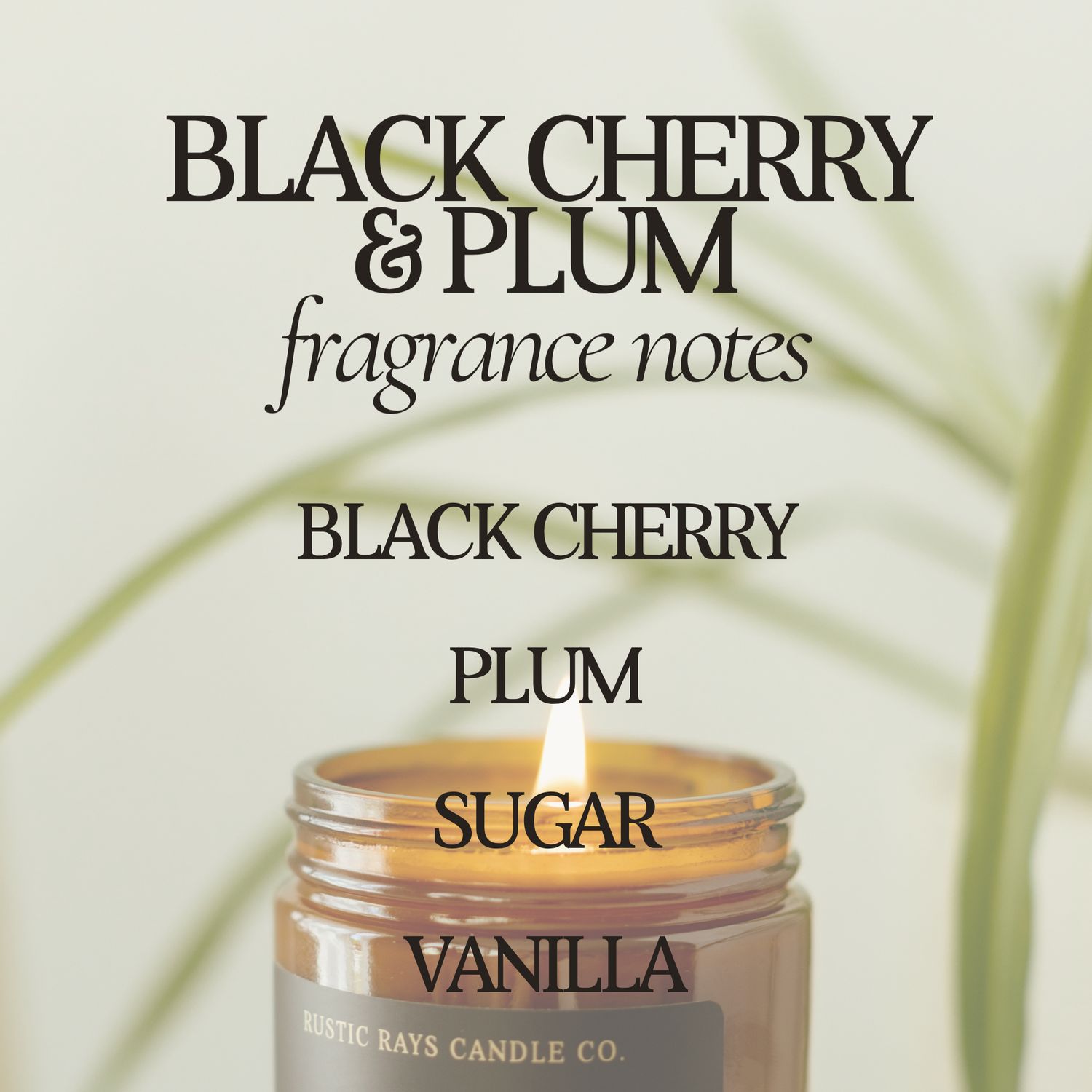 Black Cherry &amp; Plum 9 oz Soy Candle