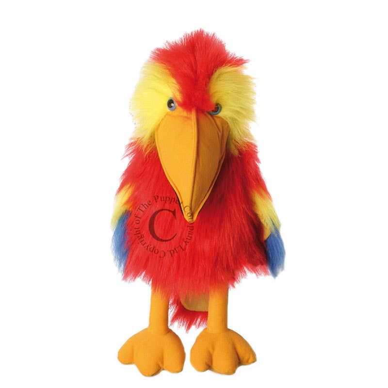 Large Birds: Scarlet Macaw