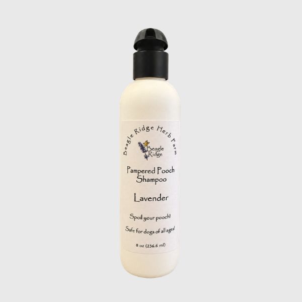 Pampered Pooch Shampoo - Lavender