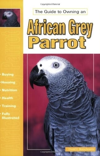 The Guide To Owning an African Grey Parrot