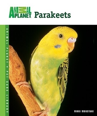 Parakeets Aninal Planet
