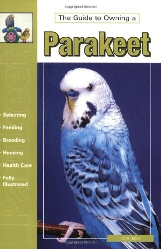 The Guide to Owning a Parakeet ( Budgie )