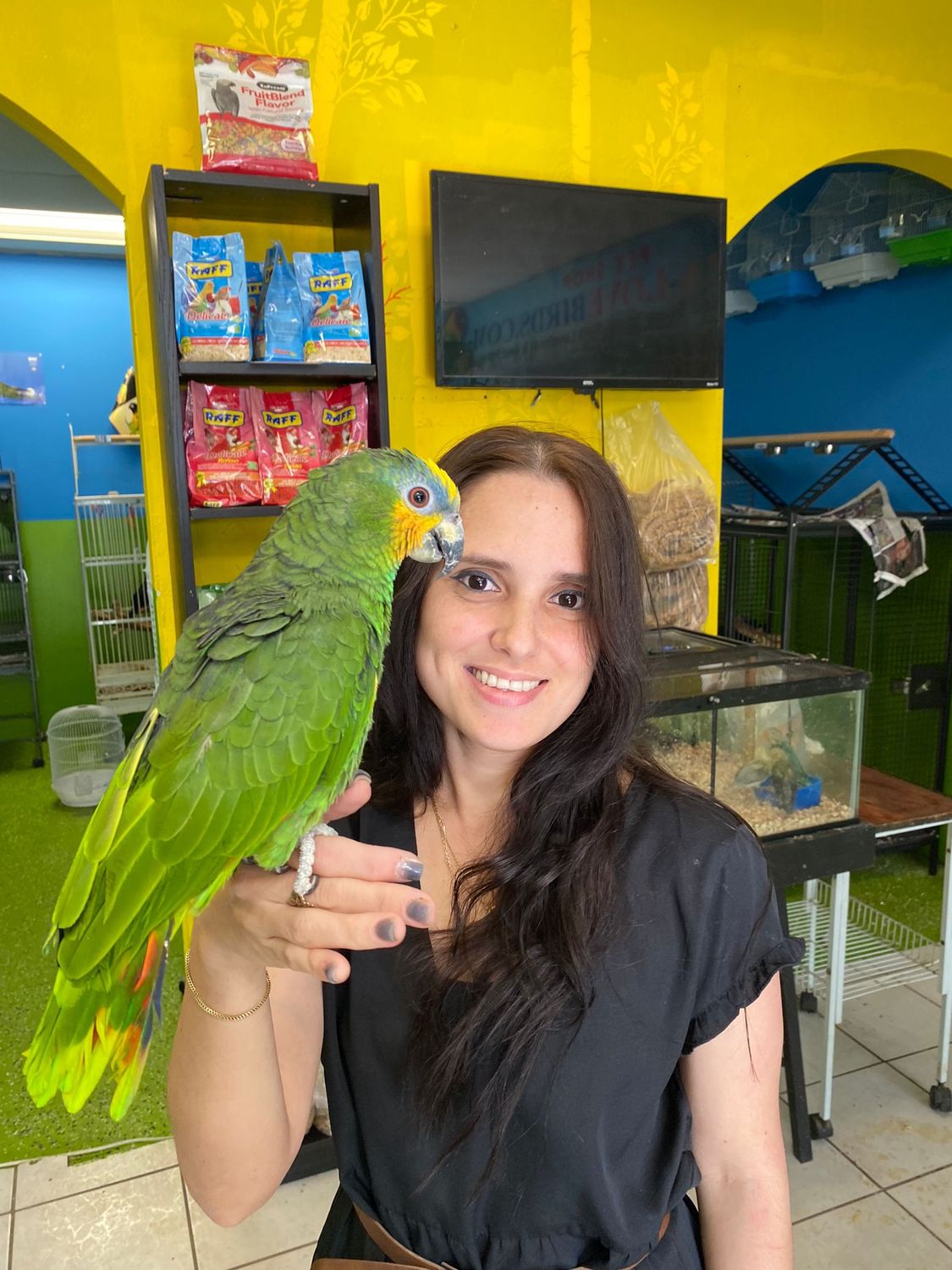 Orange Wing Amazon Parrot