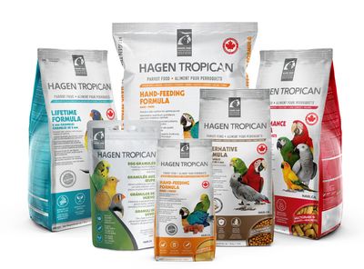 Bird Food
