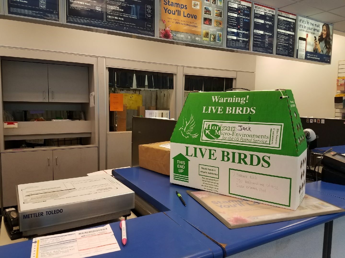 Post Office Shipping ( 15 birds max) only available for lovebirds