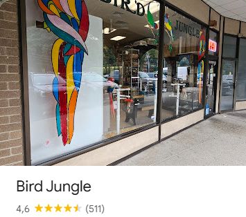 BIRD JUNGLE