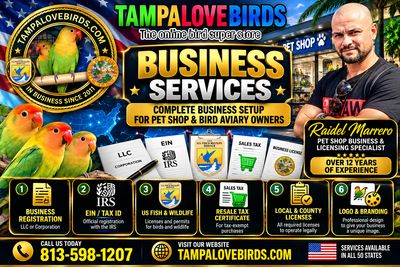 Business Services