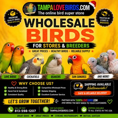 WHOLESALE DEALS