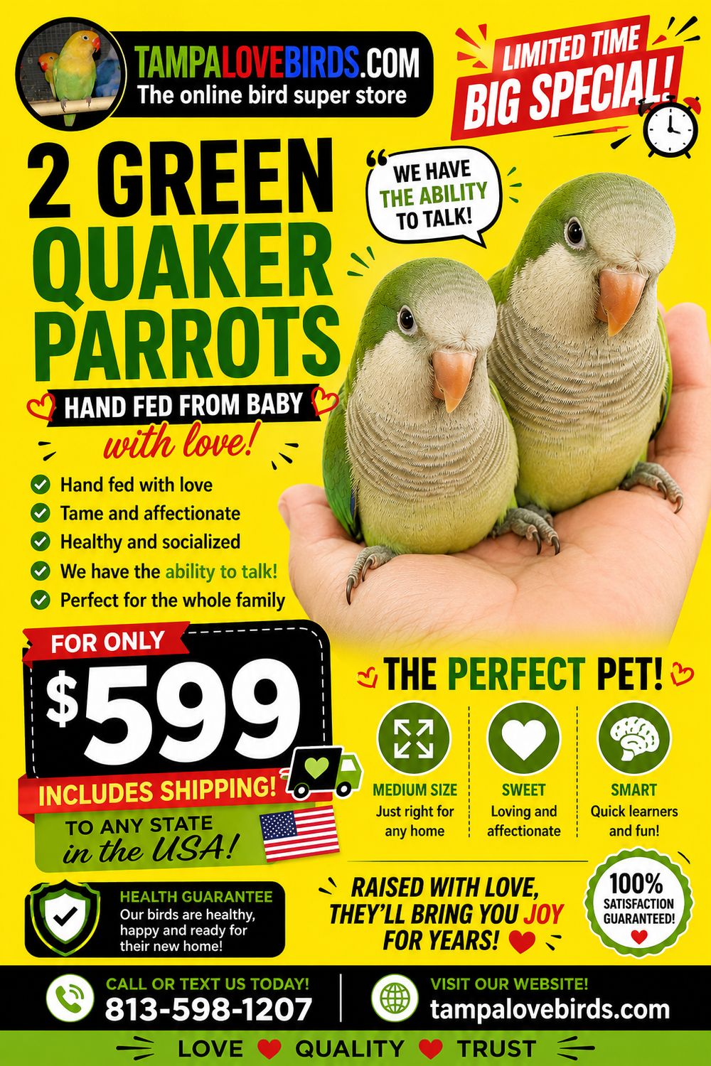 Green Quaker Parrot