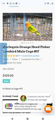 2 Pair Special Robert