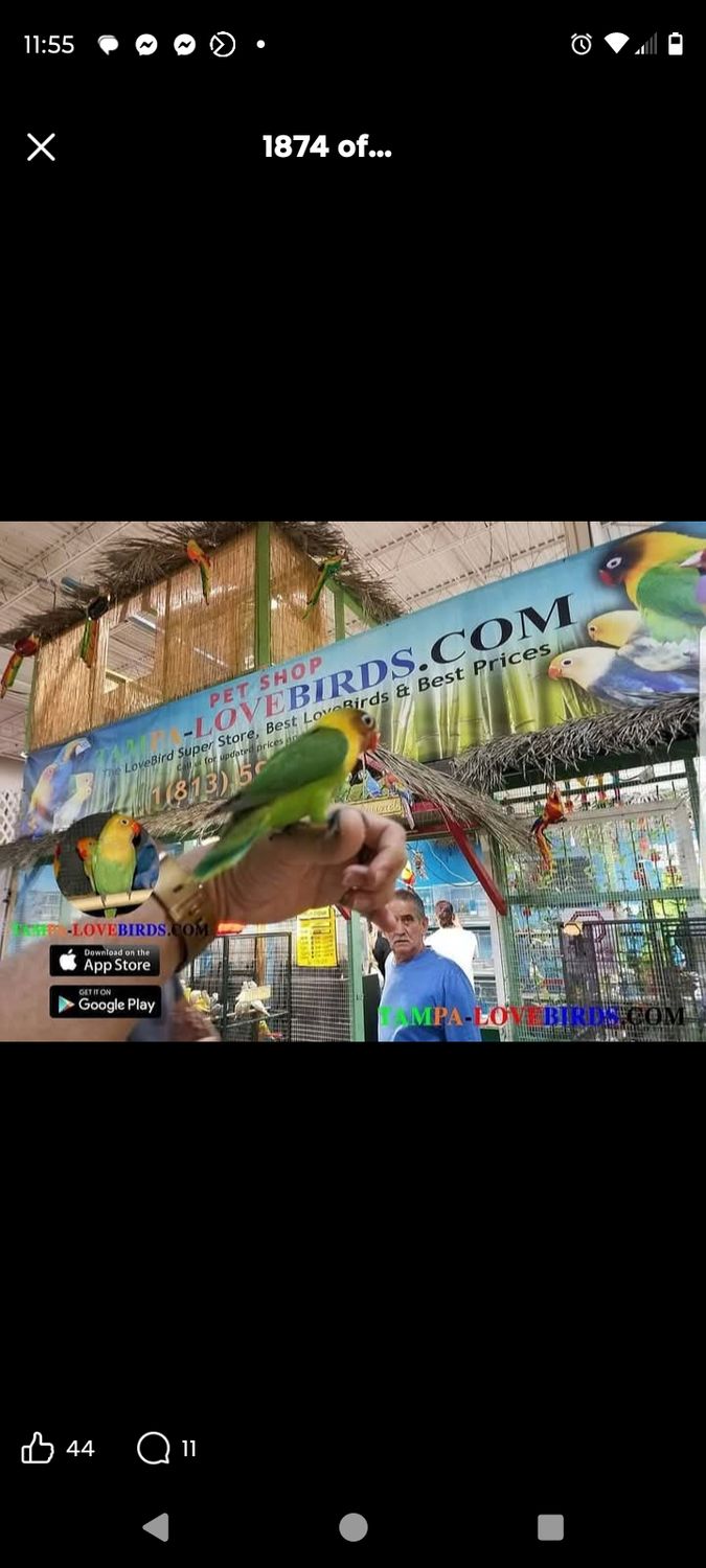 Payment Remained Balance