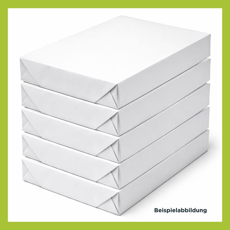 2500 Blatt Kopierpapier (5 x 500 Blatt) DIN A4 80g weiß holzfrei