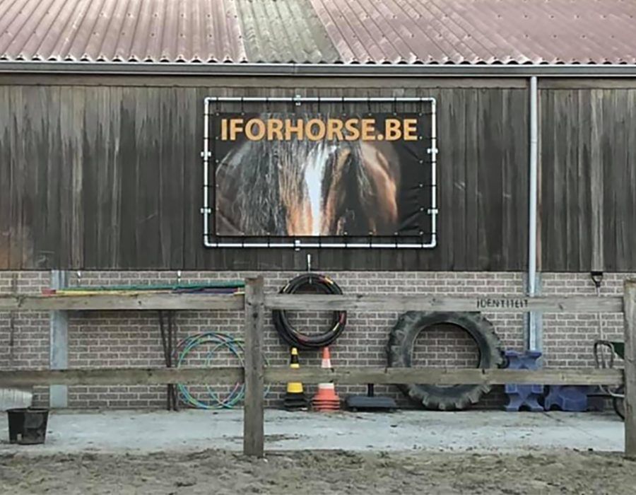 Spandoek in frame