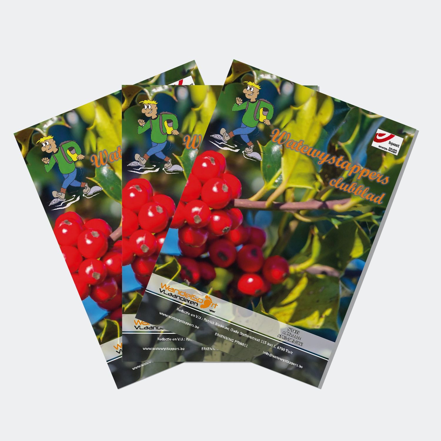 Magazines